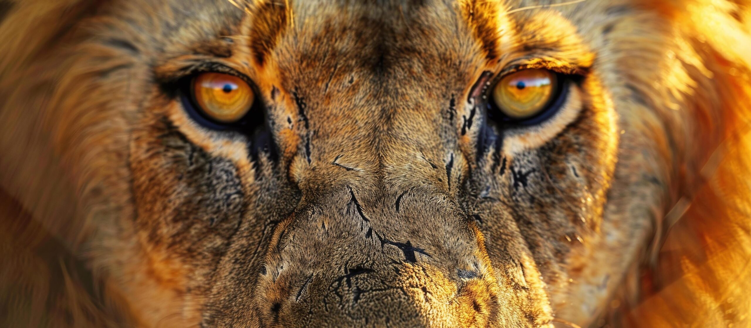 Ai-generated-an-extreme-closeup-of-a-wild-lion-face-and-eyes-free-photo