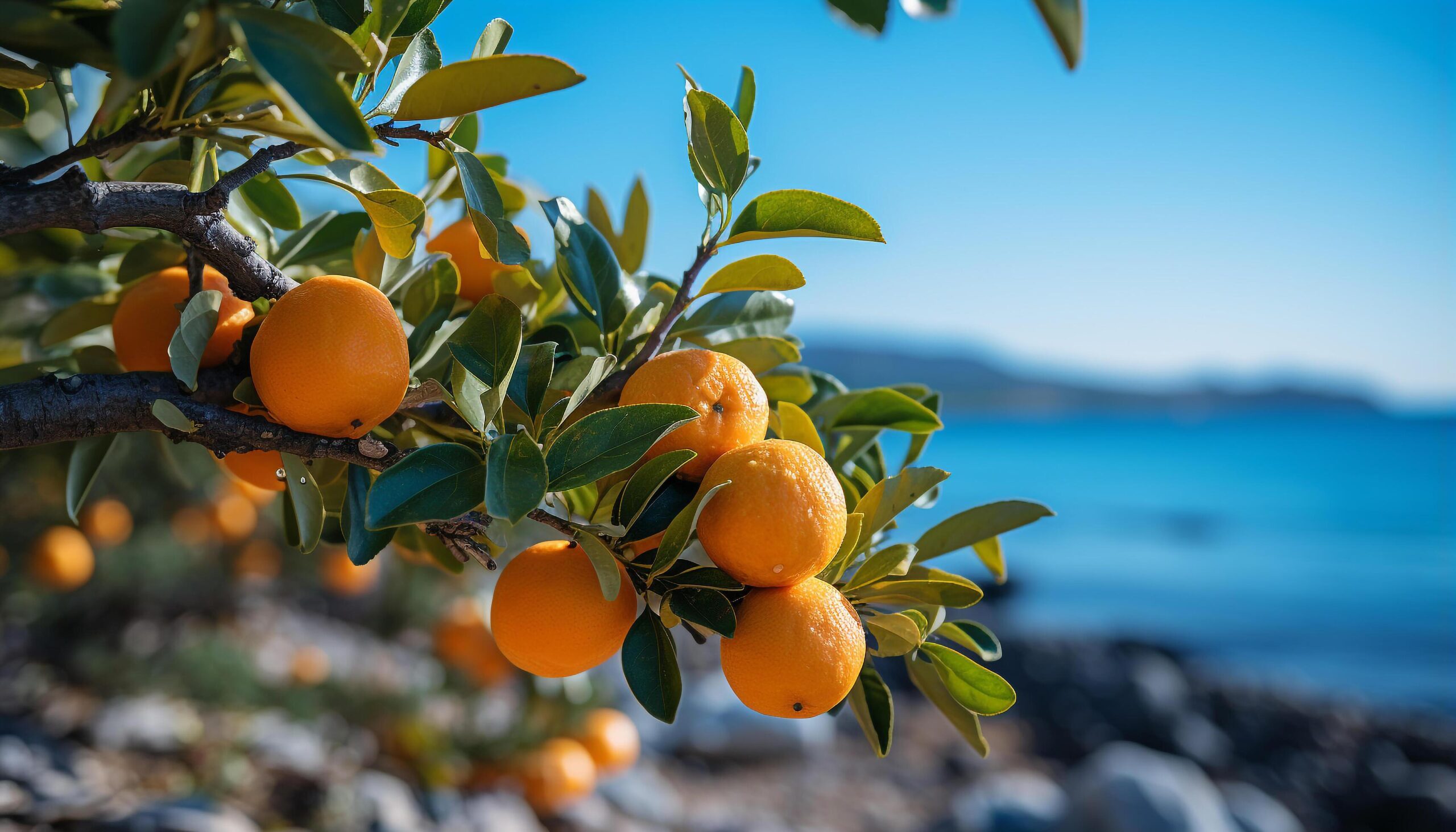 Ai-generated-freshness-of-citrus-fruit-in-nature-healthy-eating-outdoors-generated-by-ai-free-photo
