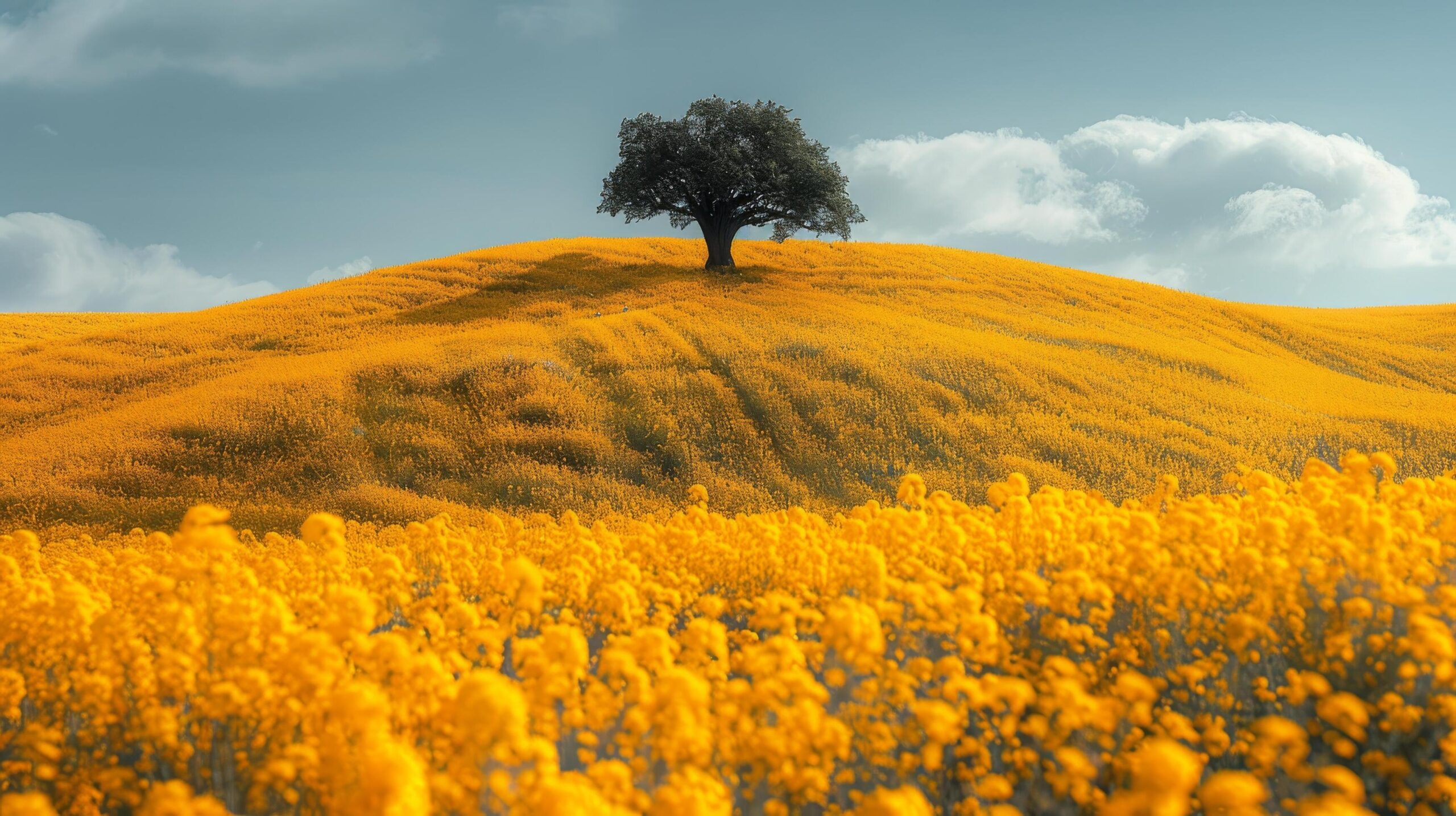Ai-generated-lone-tree-in-field-of-yellow-flowers-free-photo