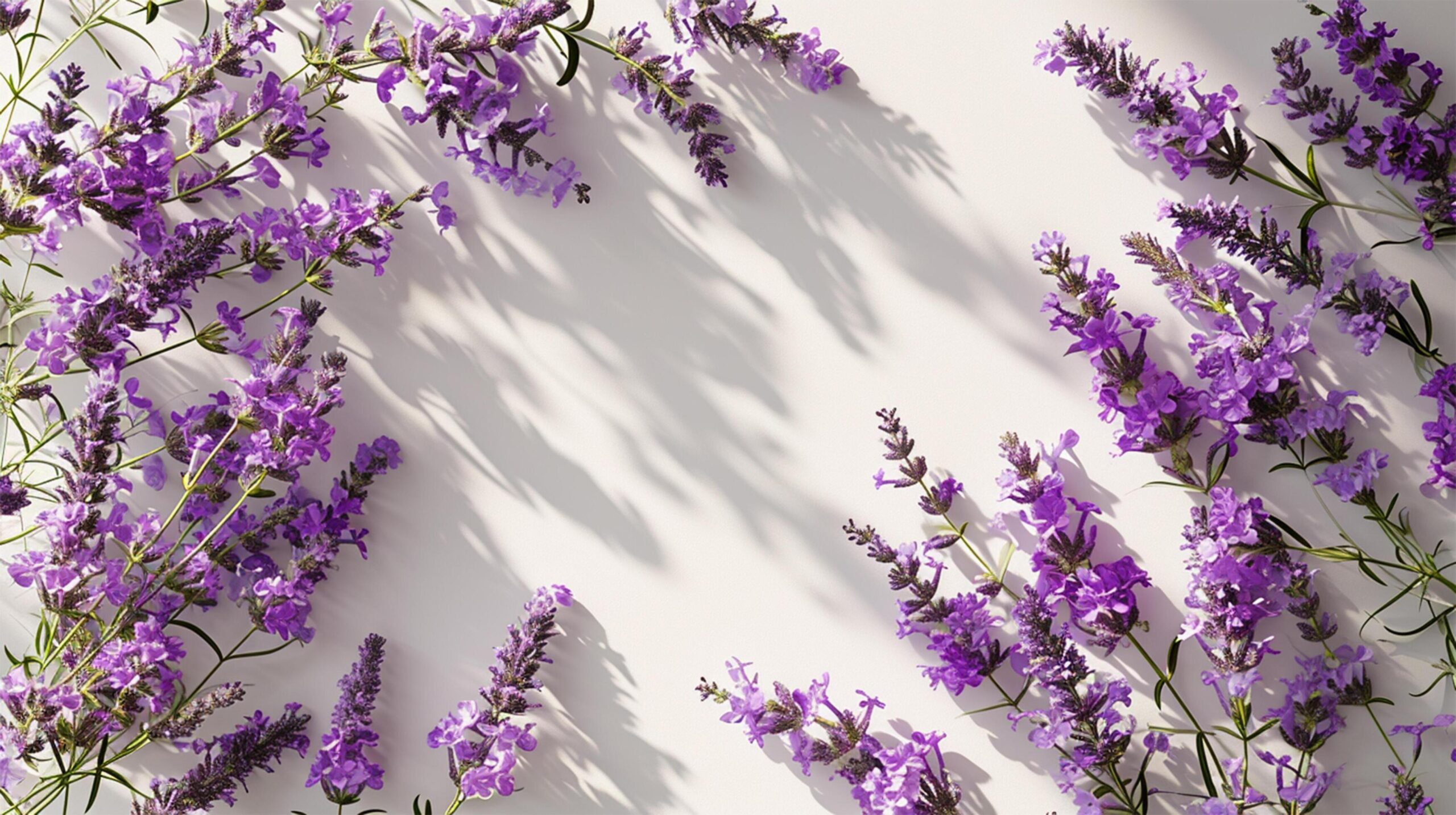 Ai-generated-overhead-lavender-scene-for-background-free-photo