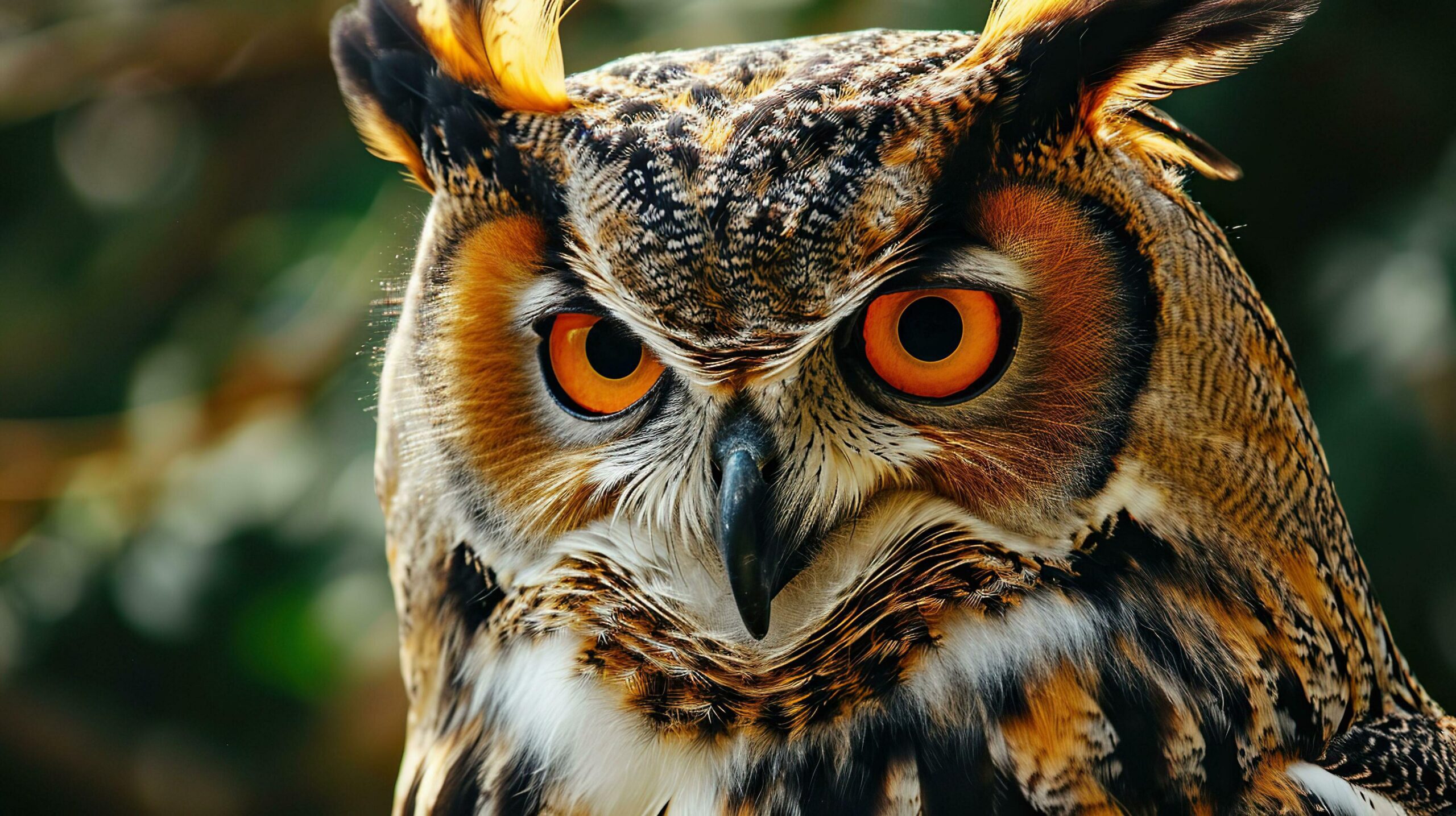 Ai-generated-portrait-of-an-owl-with-big-orange-eyes-close-up-free-photo