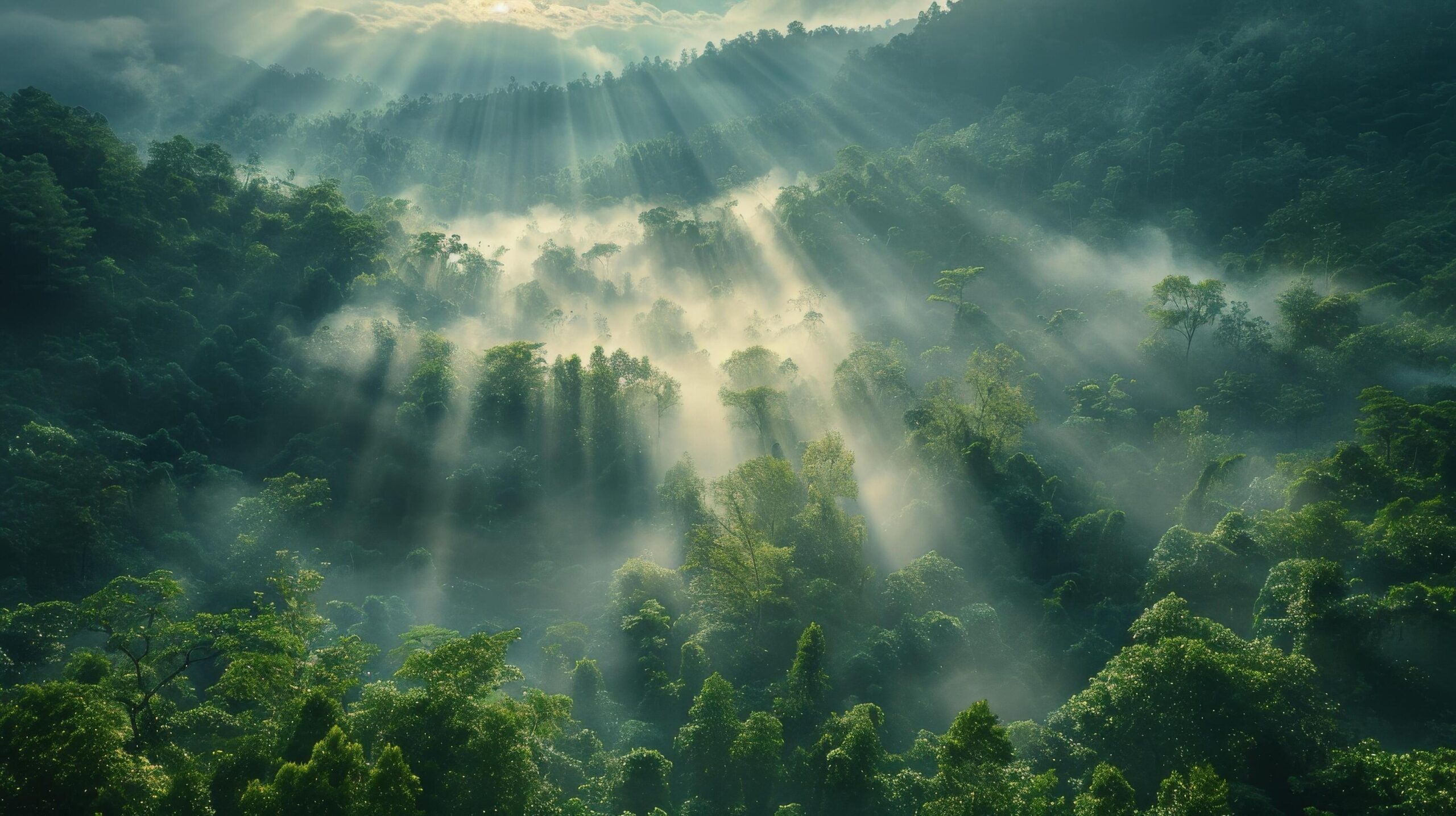 Ai-generated-sun-shining-through-clouds-in-jungle-free-photo