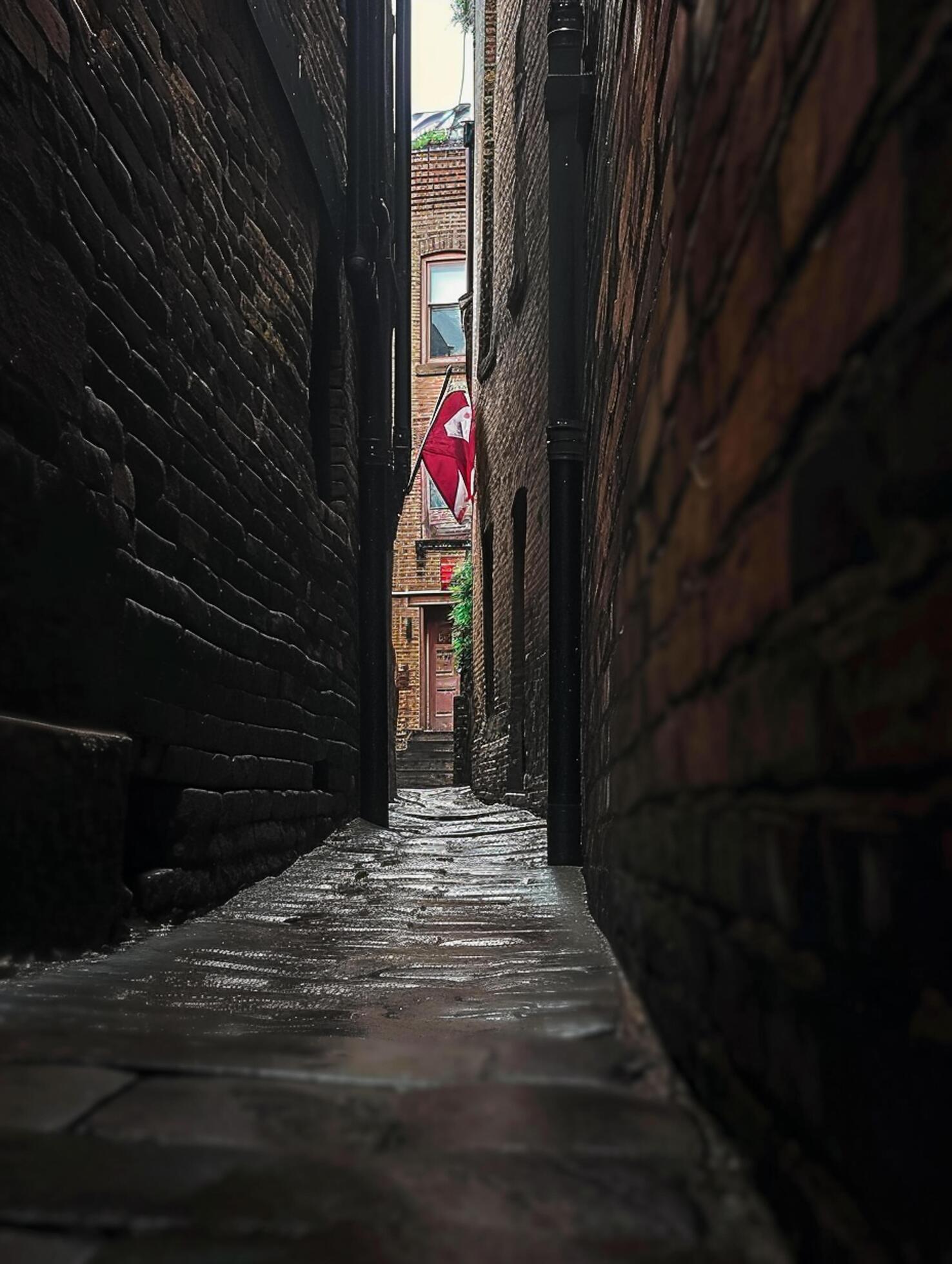 Ai-generated-vertical-shot-of-a-narrow-alley-the-atmosphere-is-moody-and-dark-with-natural-ai-generated-free-photo