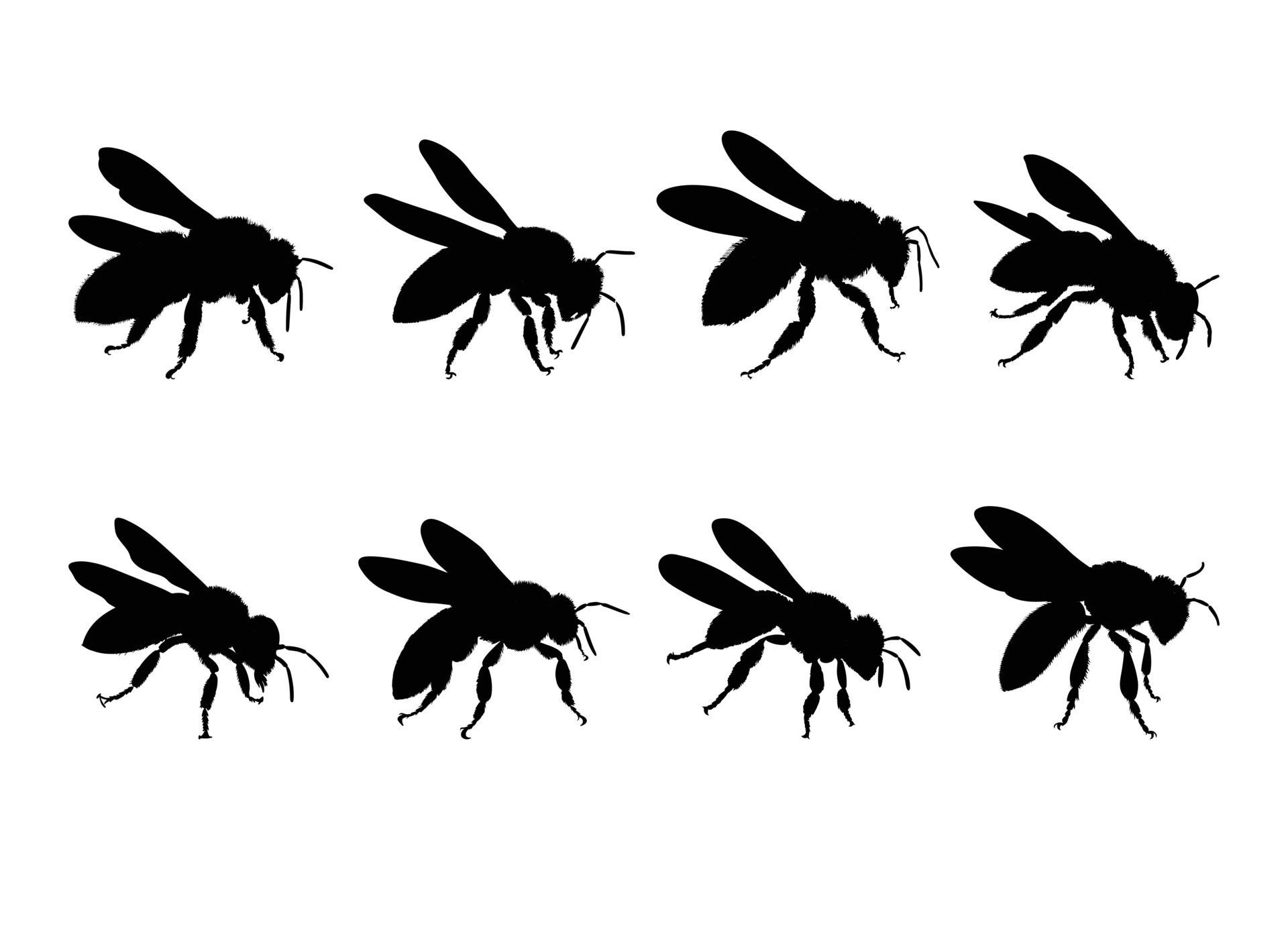 Ai-generated-bee-design-illustration-isolated-on-white-background-free-vector