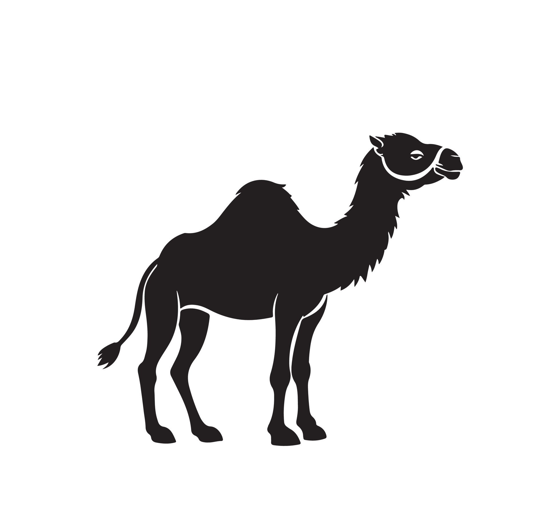 Ai-generated-camel-silhouette-illustration-on-white-background-free-vector