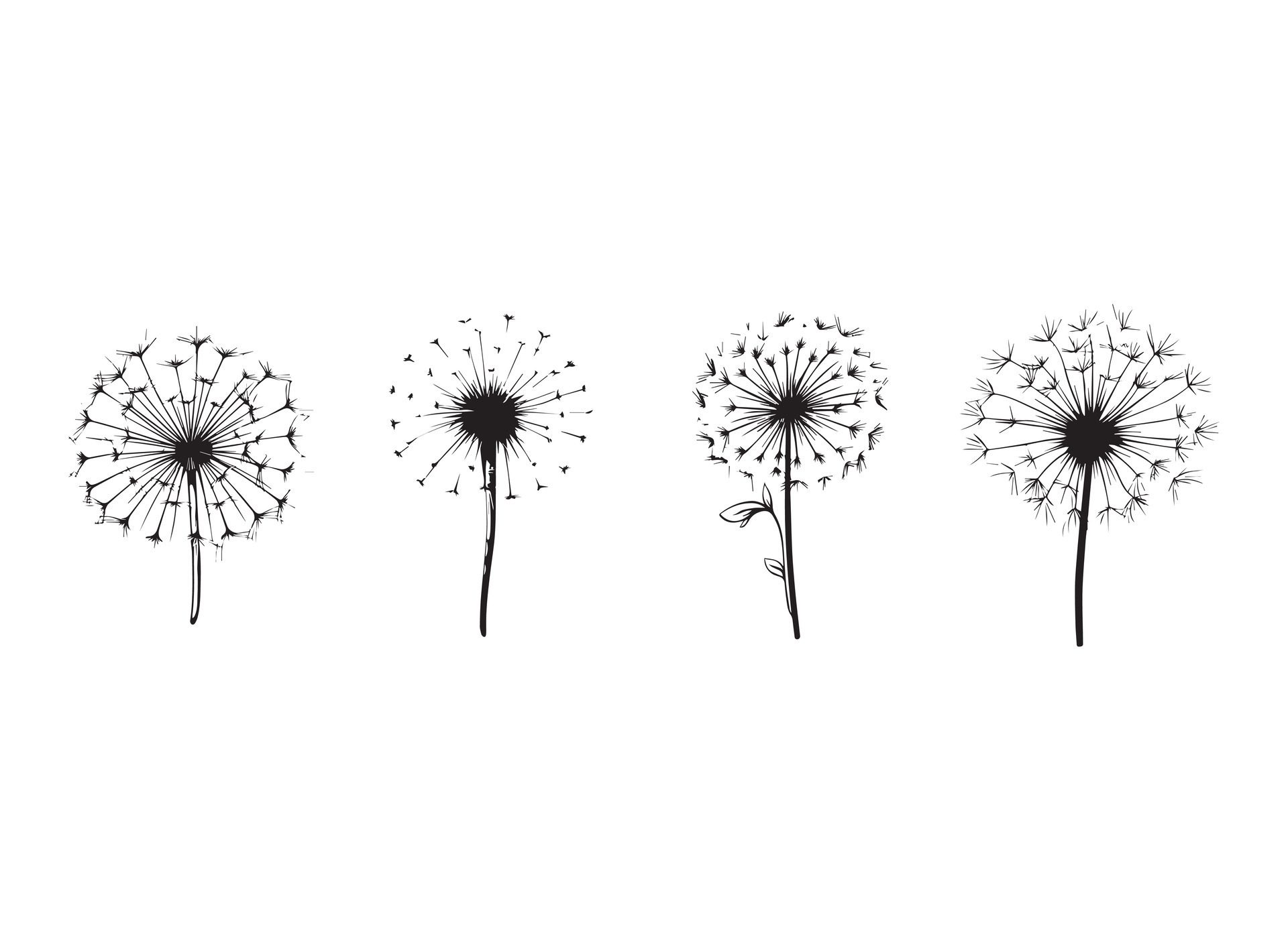 Ai-generated-dandelion-design-illustration-isolated-on-white-background-free-vector