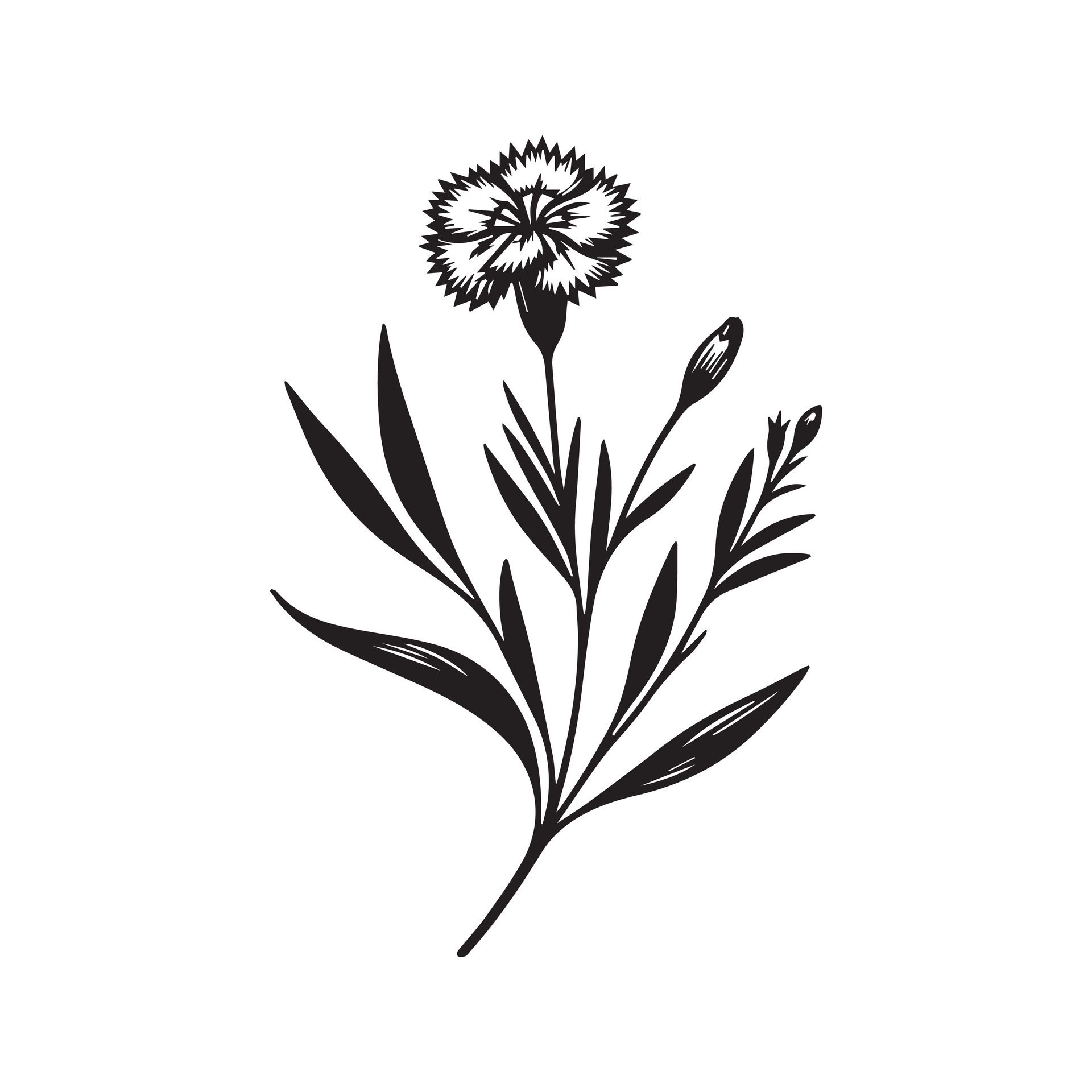 Ai-generated-dianthus-flower-silhouette-black-and-white-illustration-free-vector