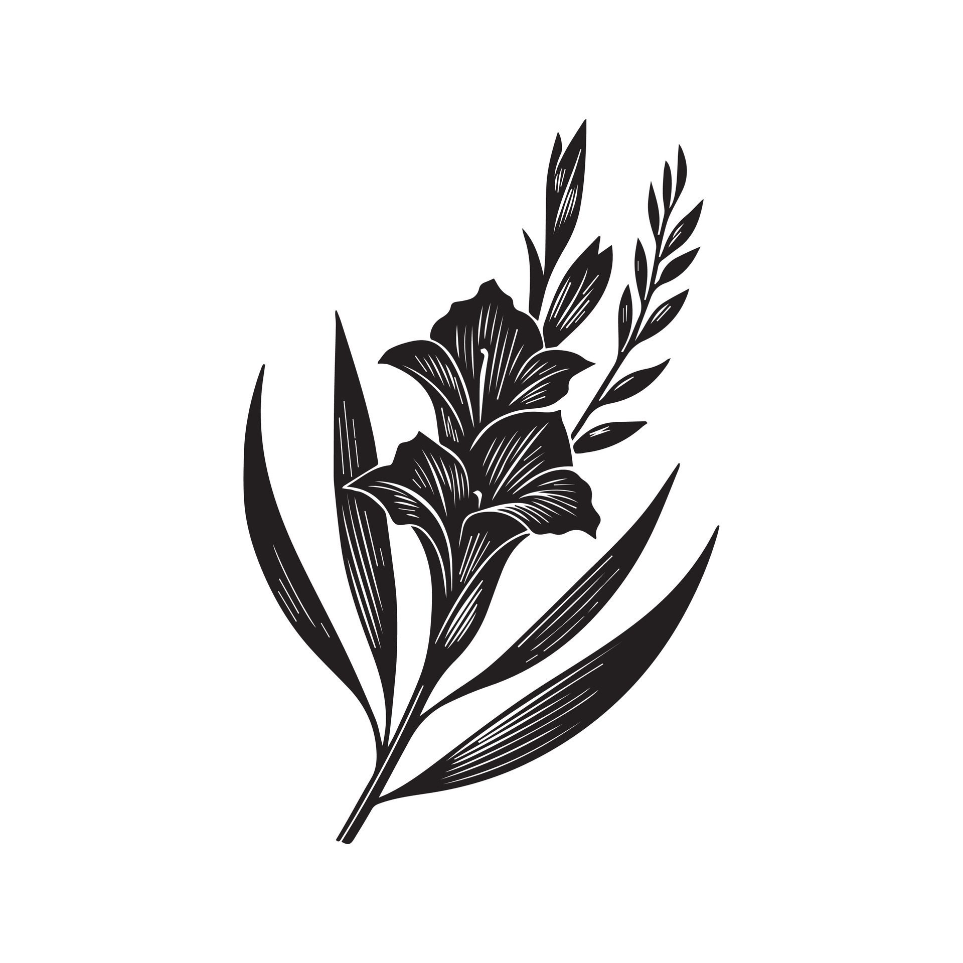Ai-generated-gladiolus-flower-silhouette-black-and-white-illustration-free-vector