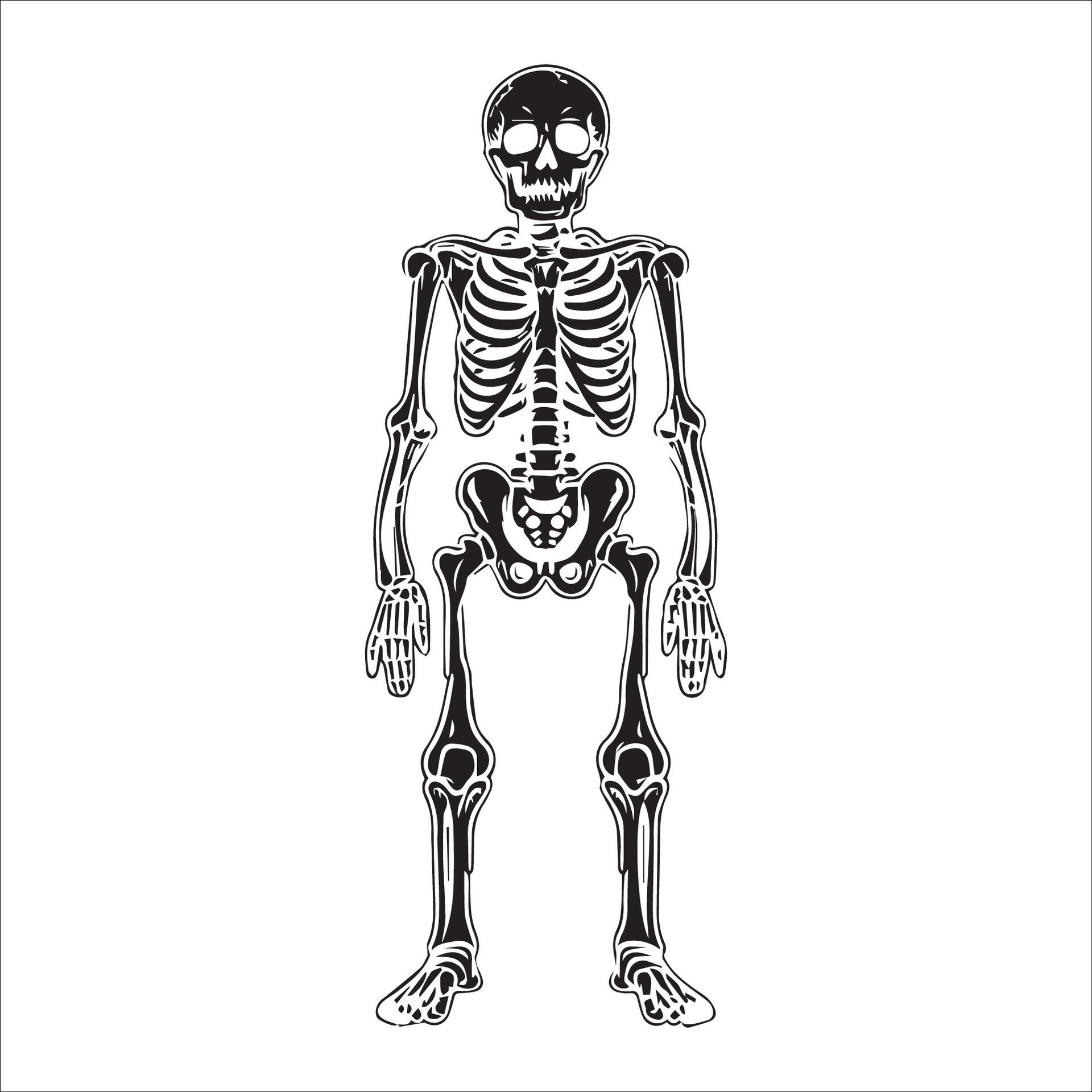 Ai-generated-human-skeleton-in-black-and-white-illustration-free-vector