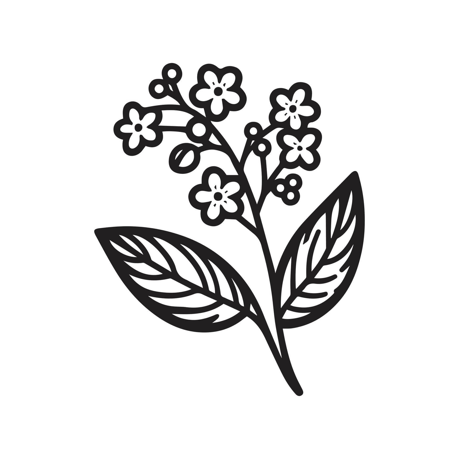 Ai-generated-scorpion-grasses-flower-silhouette-black-and-white-illustration-free-vector