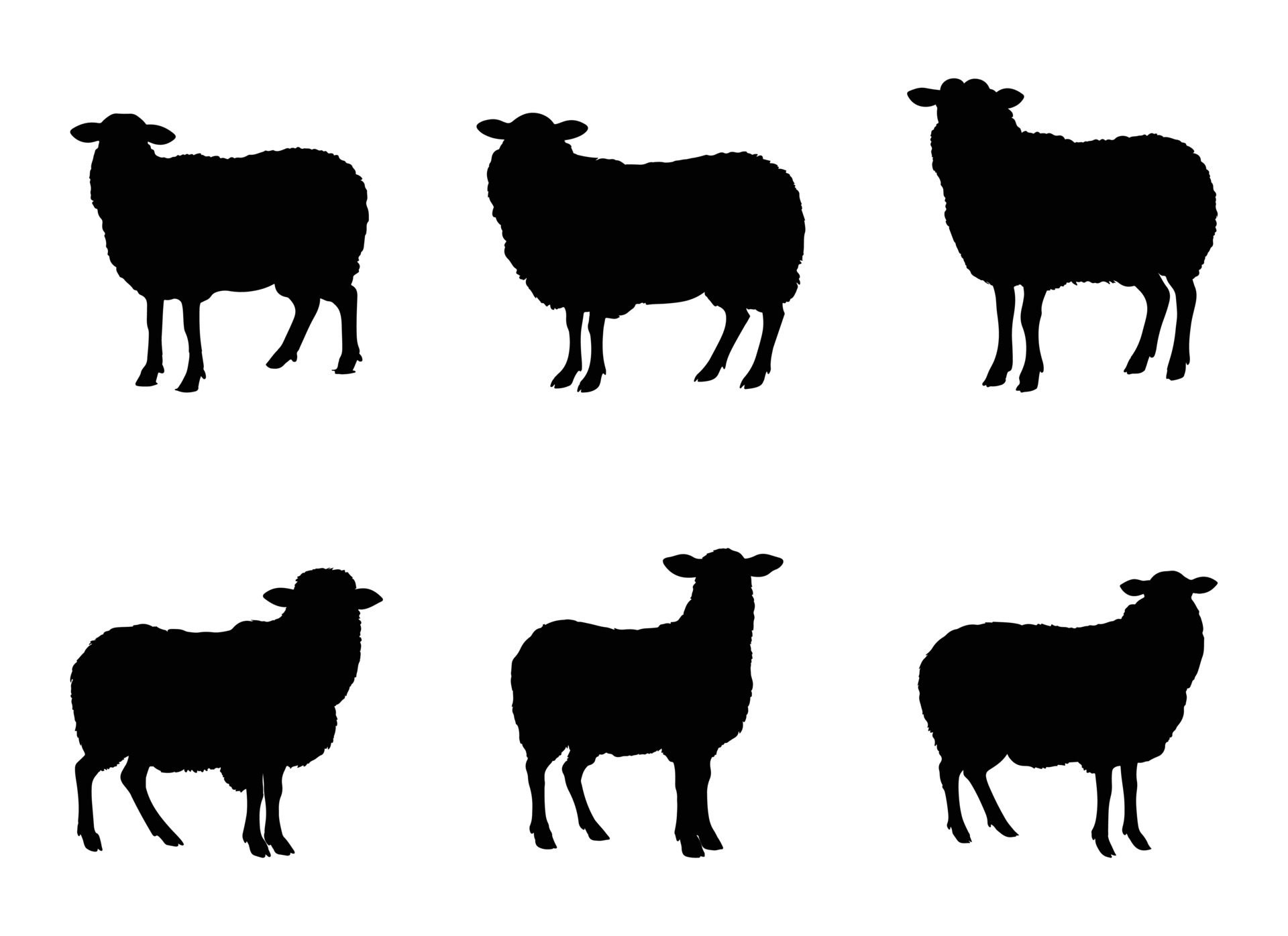 Ai-generated-sheep-illustration-isolated-on-white-background-free-vector