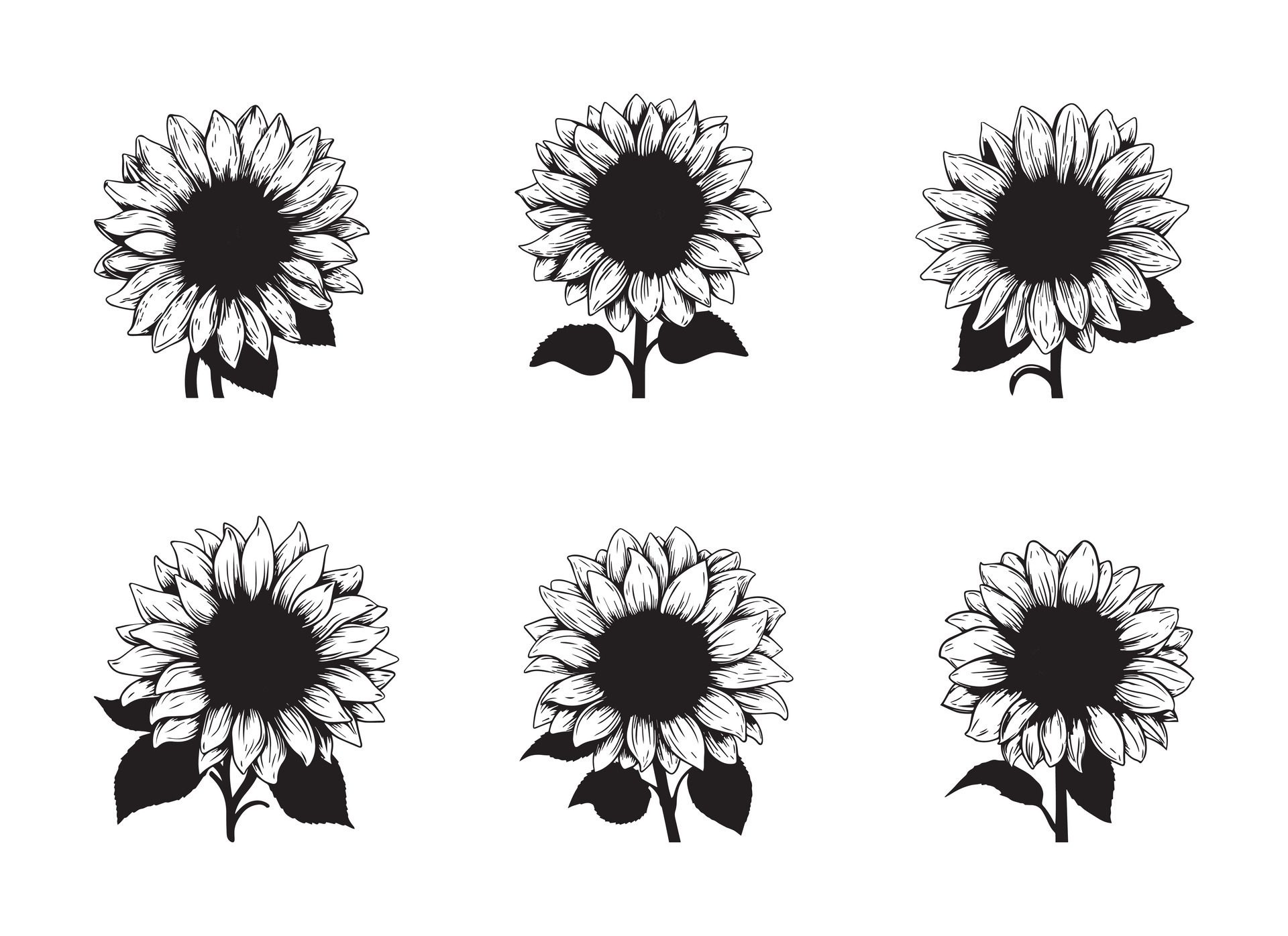 Ai-generated-sunflower-illustration-isolated-on-white-background-free-vector