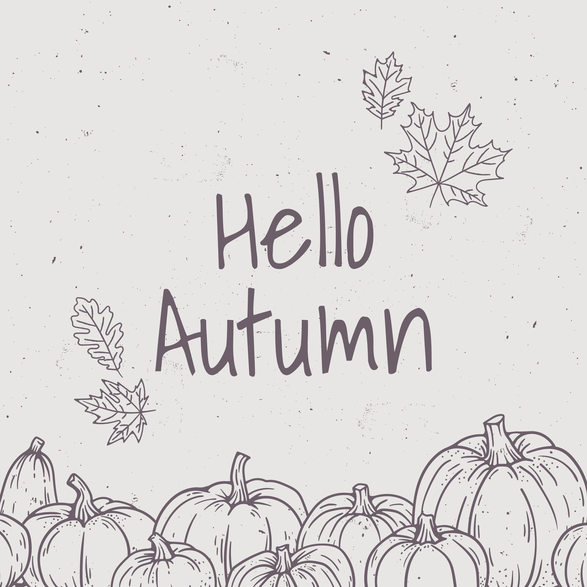 Hello-autumn-banner-design-with-hand-drawn-illustration-grunge-vintage-outline-foliage-of-oak-maple-pumpkins-for-creating-posters-banners-and-cards-for-the-fall-season-not-ai-generated-free-vector