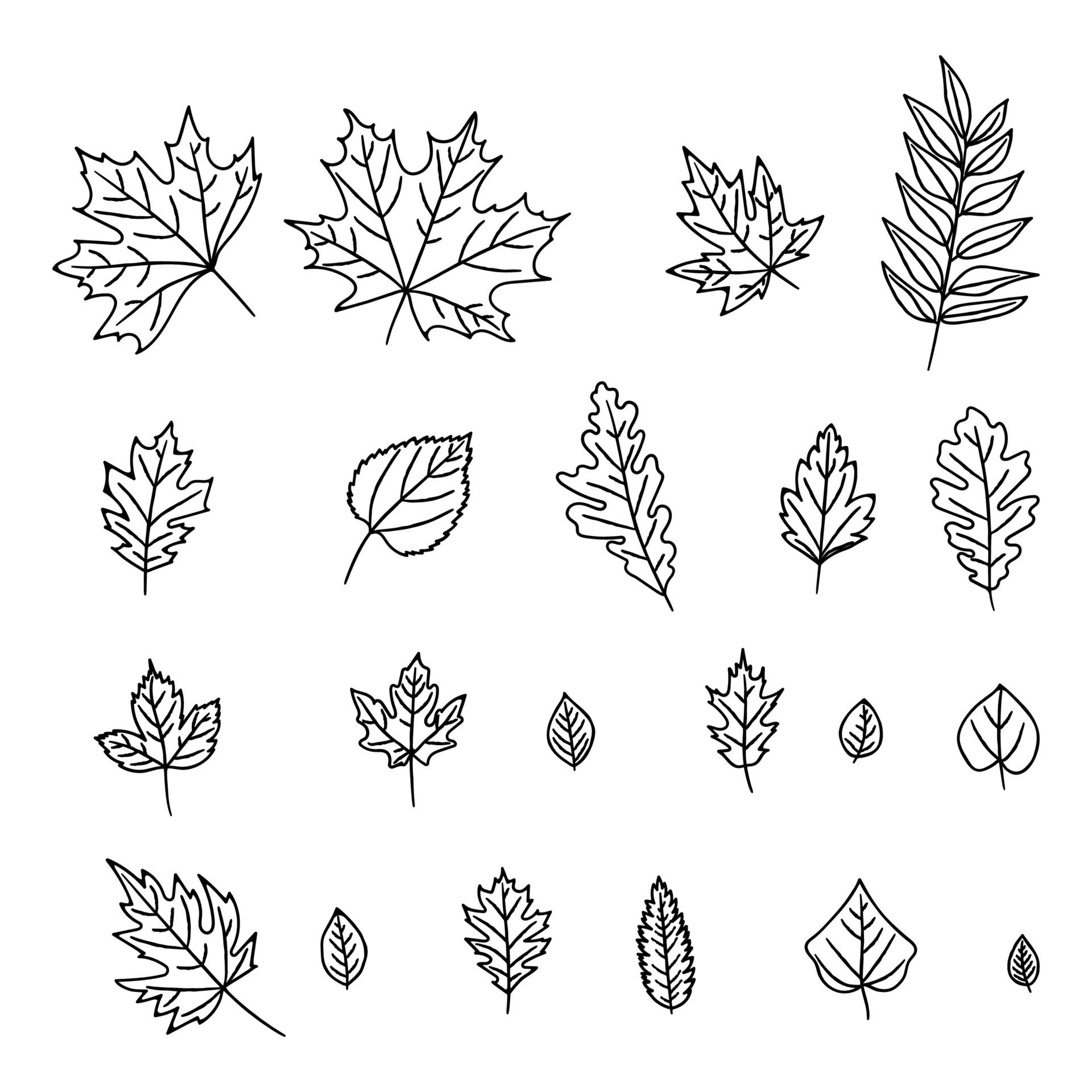 Set-of-autumn-leaf-outline-illustrations-leaves-of-oak-maple-birch-perfect-for-creating-an-artistic-and-botanical-aesthetic-black-and-white-icons-not-ai-generated-free-vector