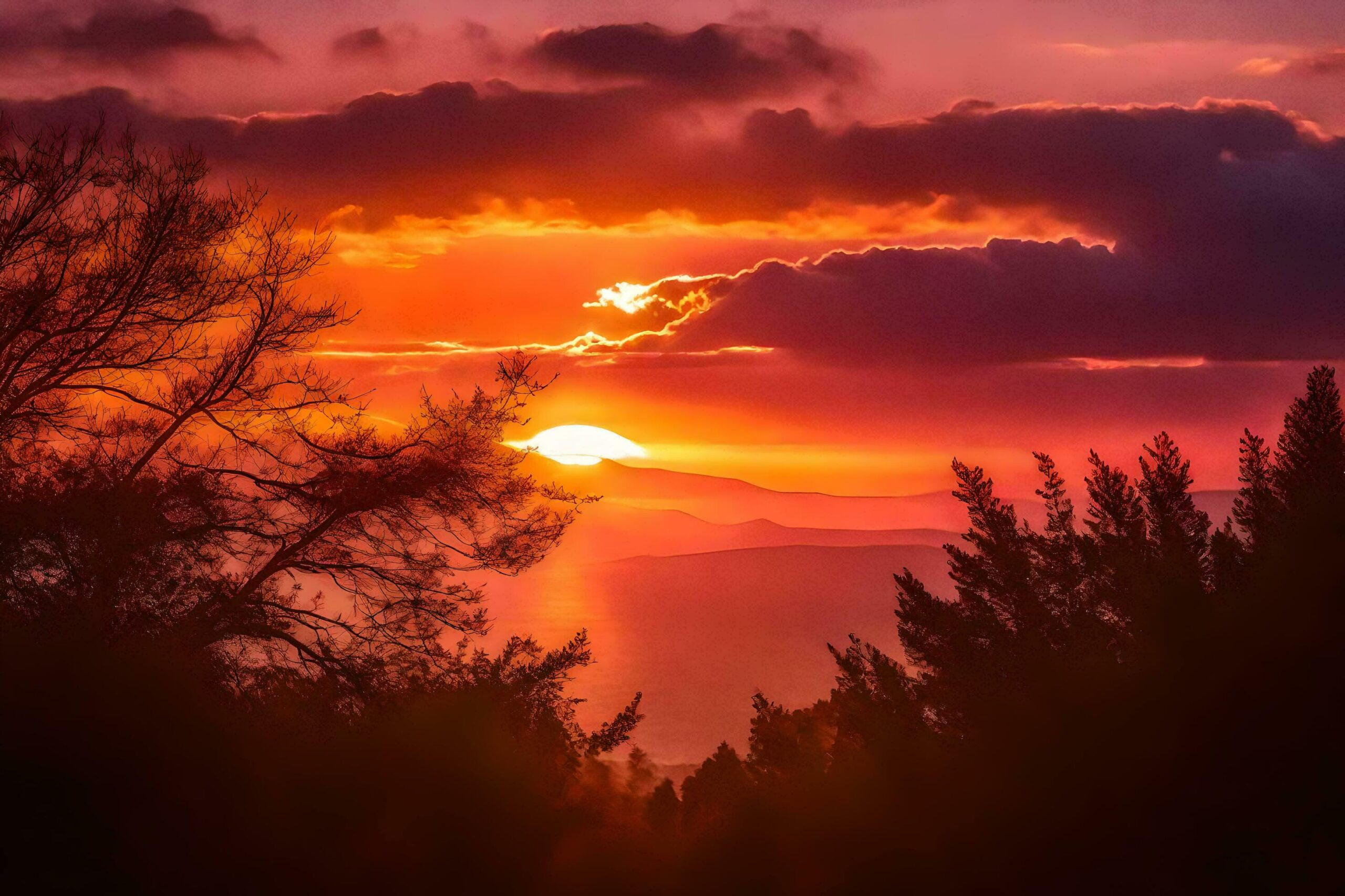 Ai-generated-the-sun-sets-over-the-ocean-and-trees-free-photo