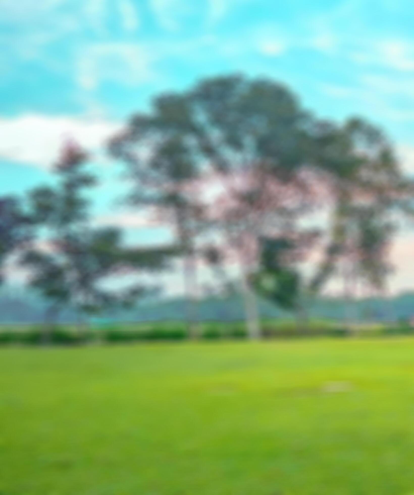 Hd-blur-background-free-photo