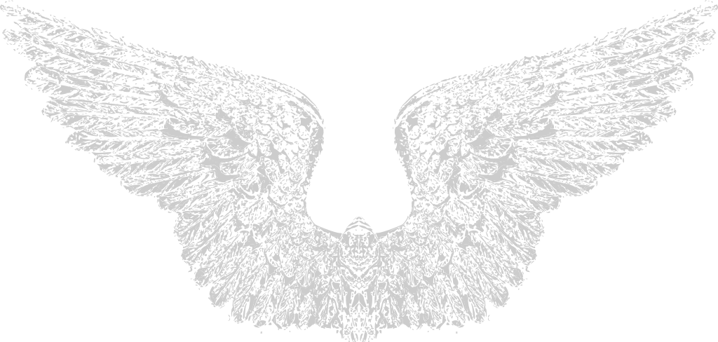 Wing-free-vector