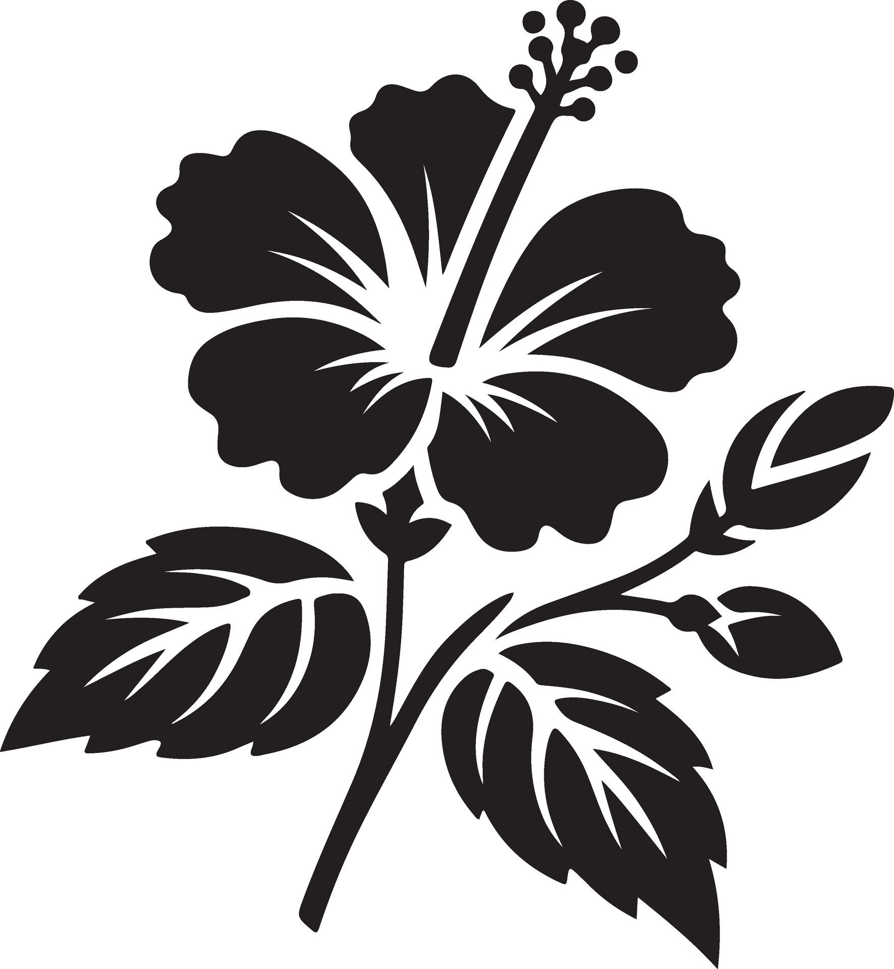 Hand-drawn-hibiscus-flower-outline-free-vector