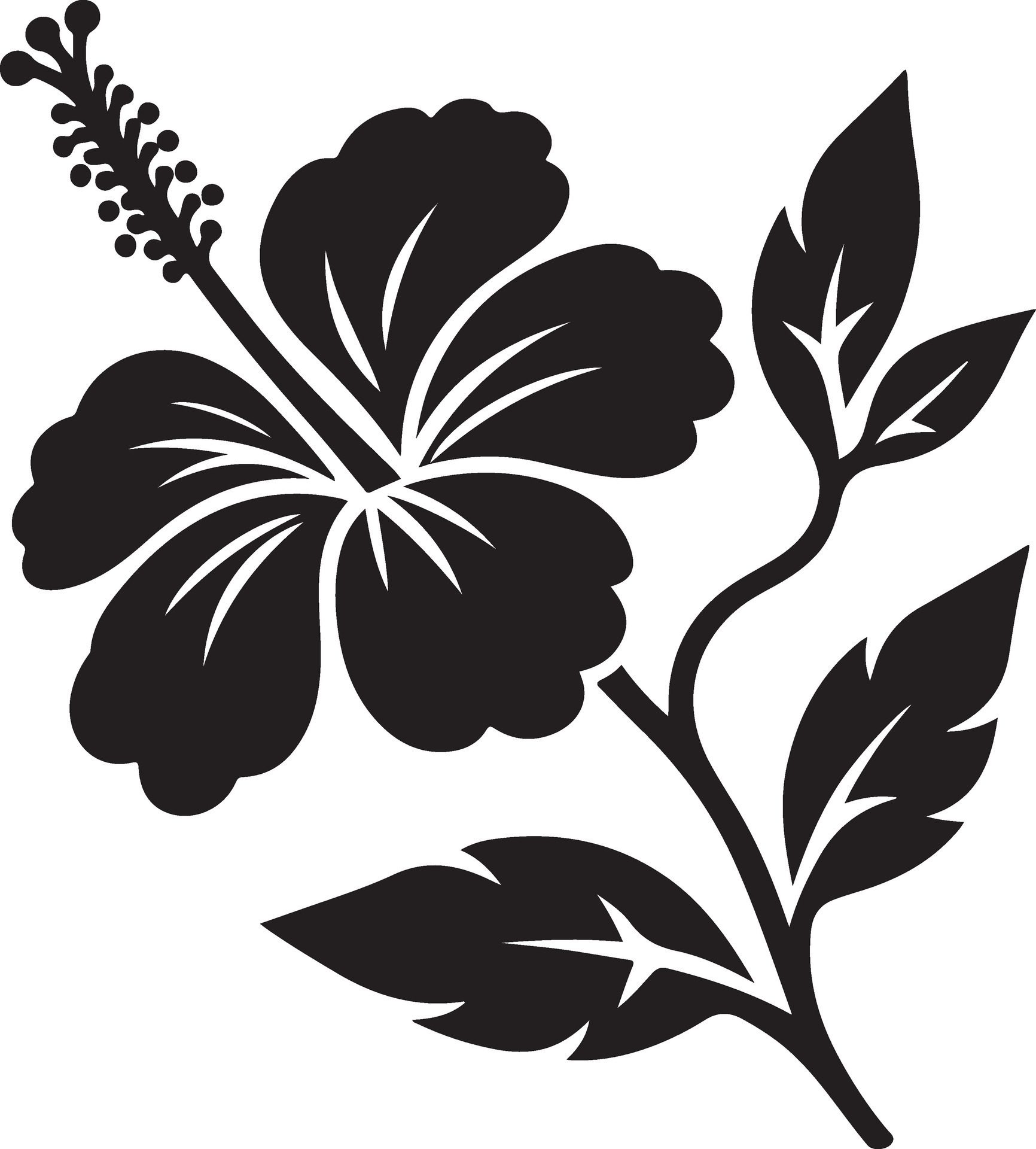 Hibiscus-black-and-white-template-free-vector
