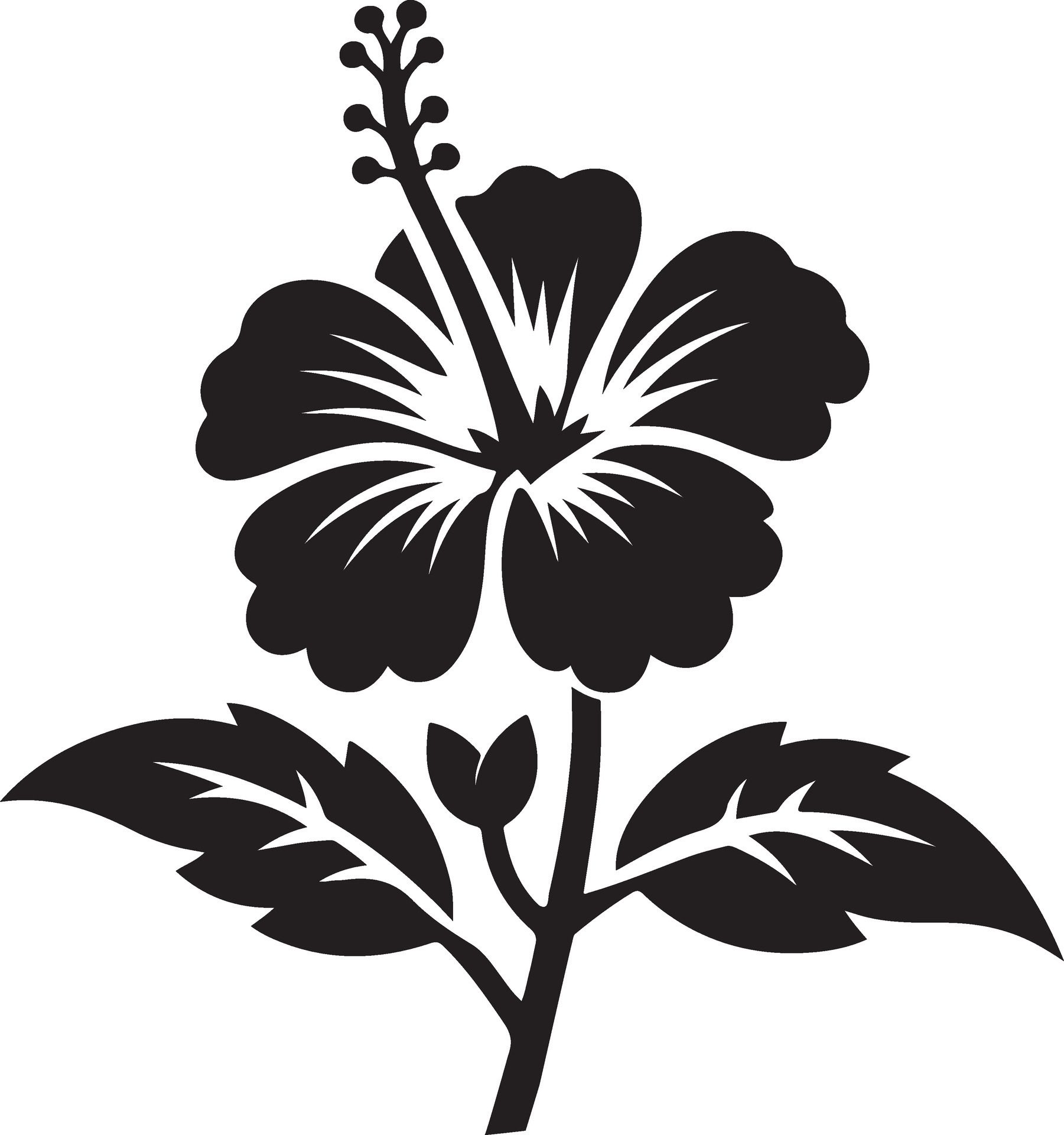 Hibiscus-flower-silhouettes-image-free-vector