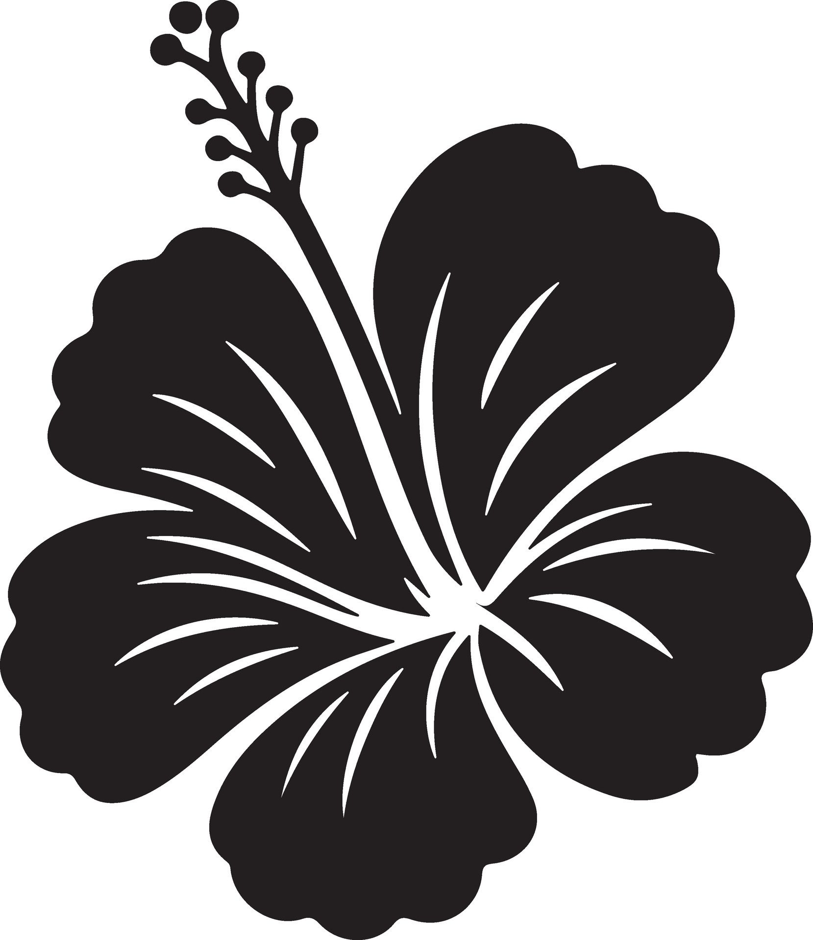 Hibiscus-silhouette-image-free-vector