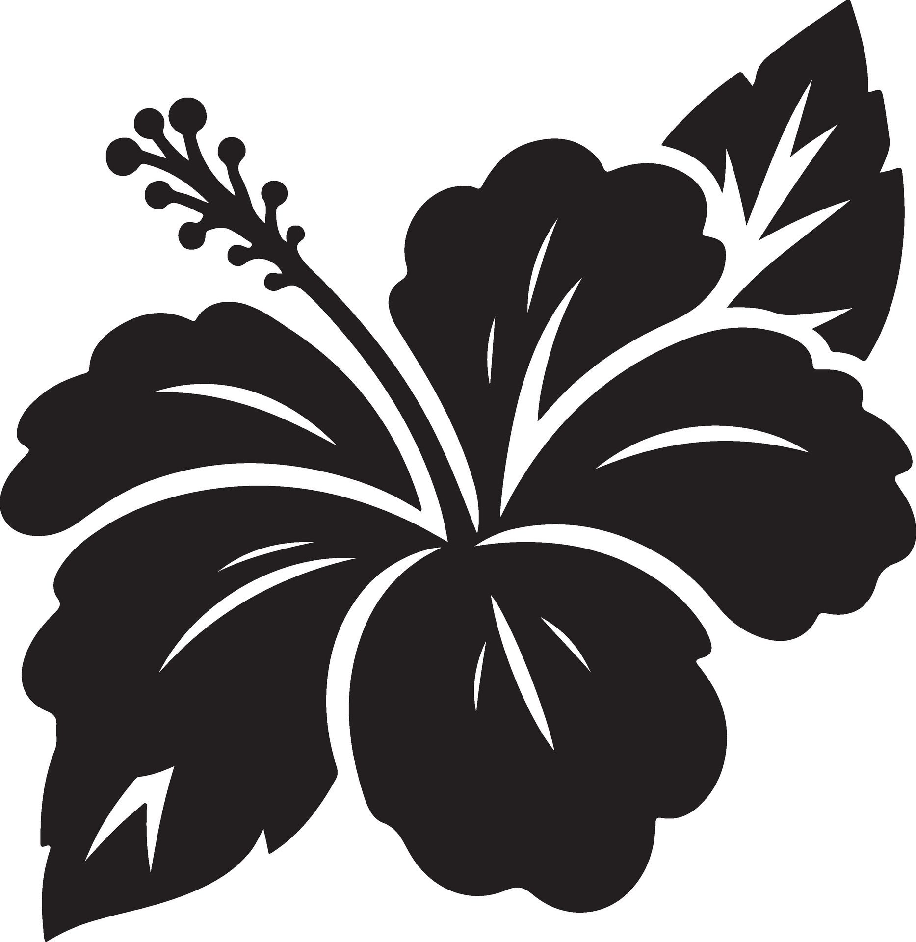 Tropical-exotic-hibiscus-flowers-silhouette-free-vector