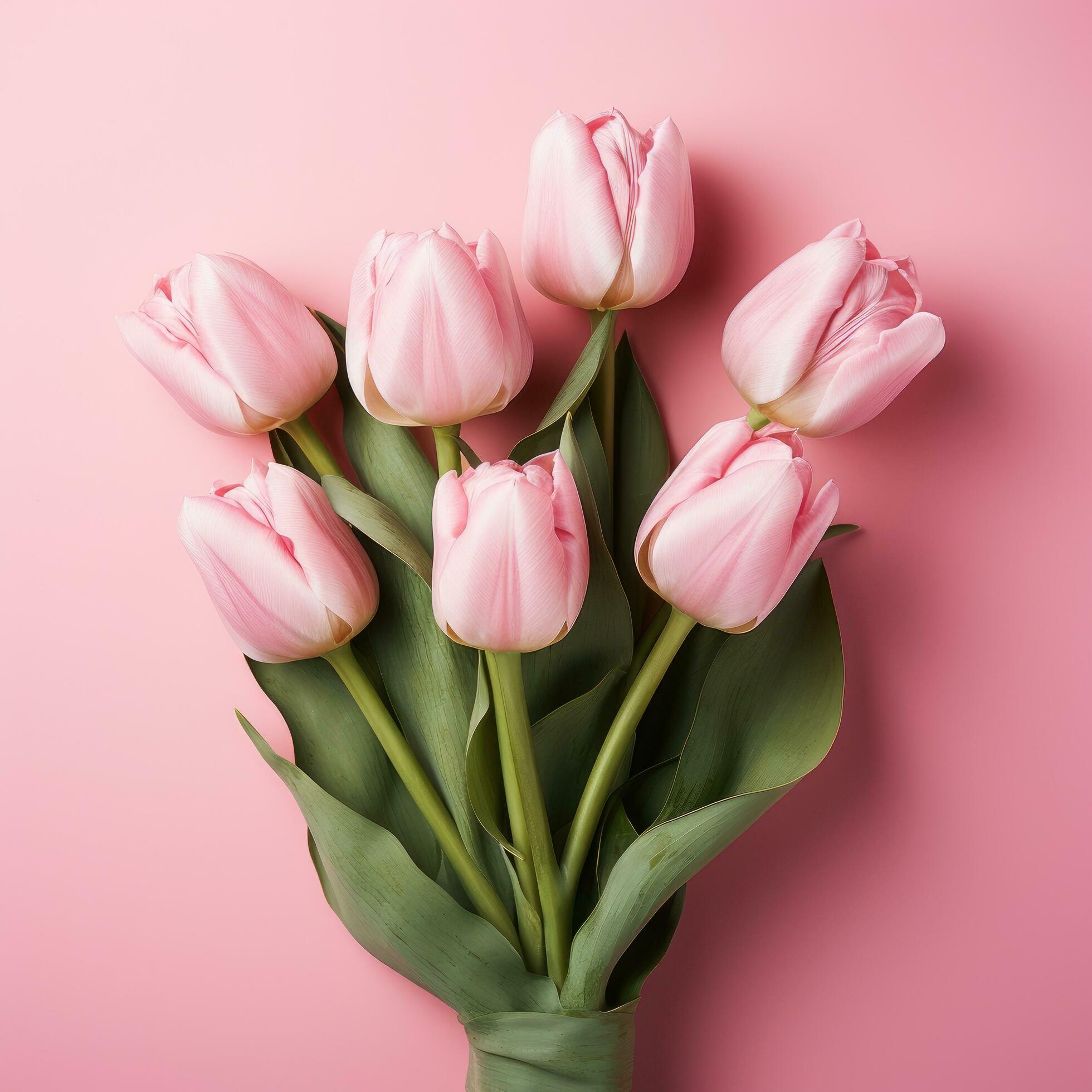 Ai-generated-8-march-is-a-pink-background-with-a-pink-tulip-free-photo
