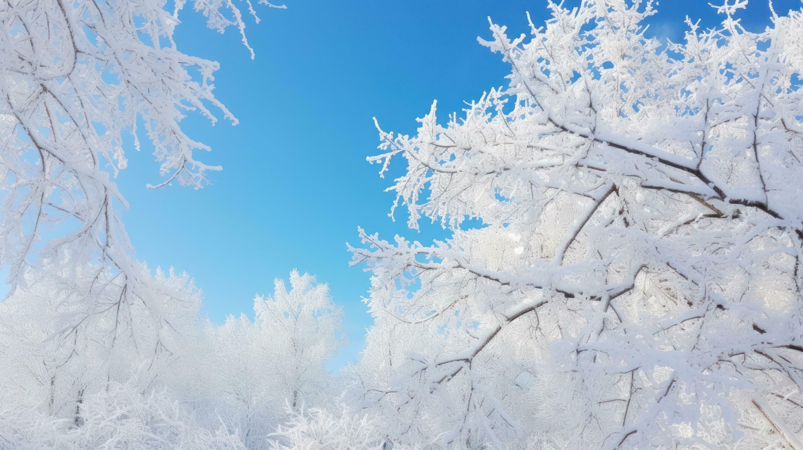 Ai-generated-a-winter-scene-with-a-tree-against-the-sky-generative-ai-free-photo