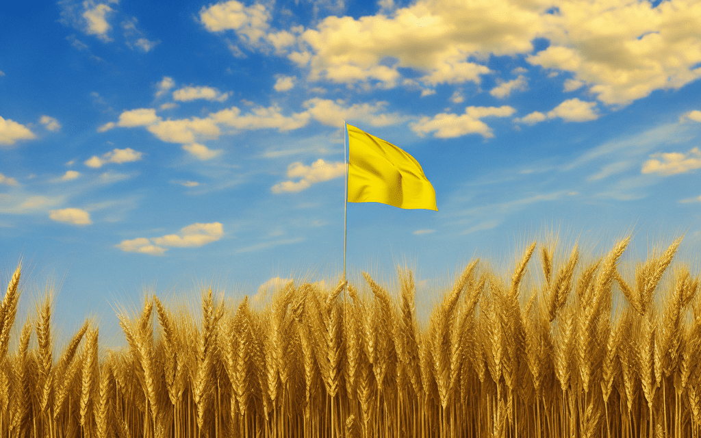 Ukranian flag made from wheat field and blue sky